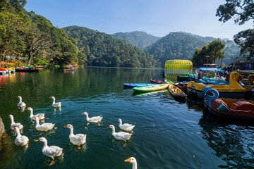 4 Days Nainital & Bhimtal Tour